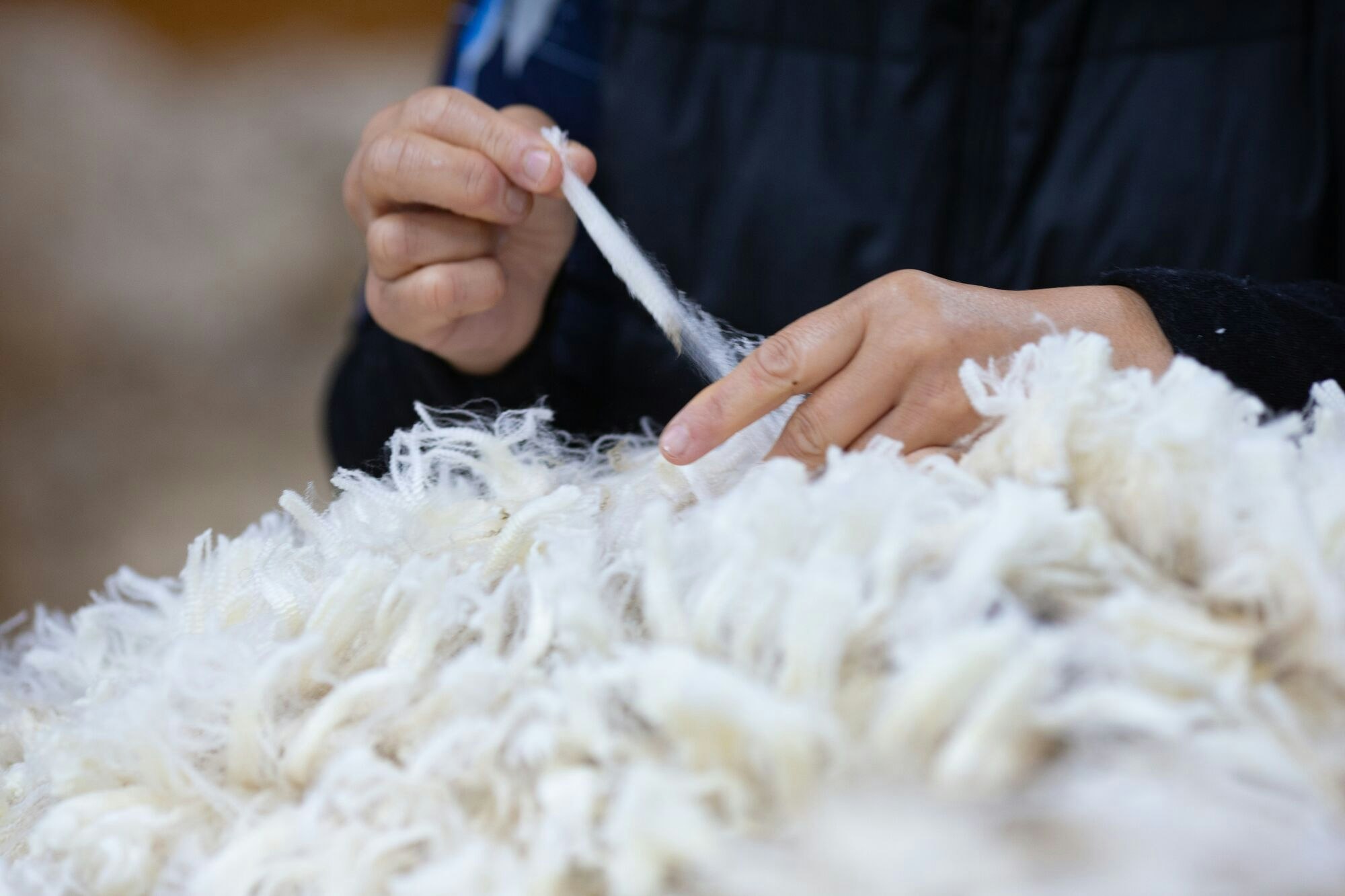 merino-wool-guide-everything-you-need-to-know-about-merino-wool