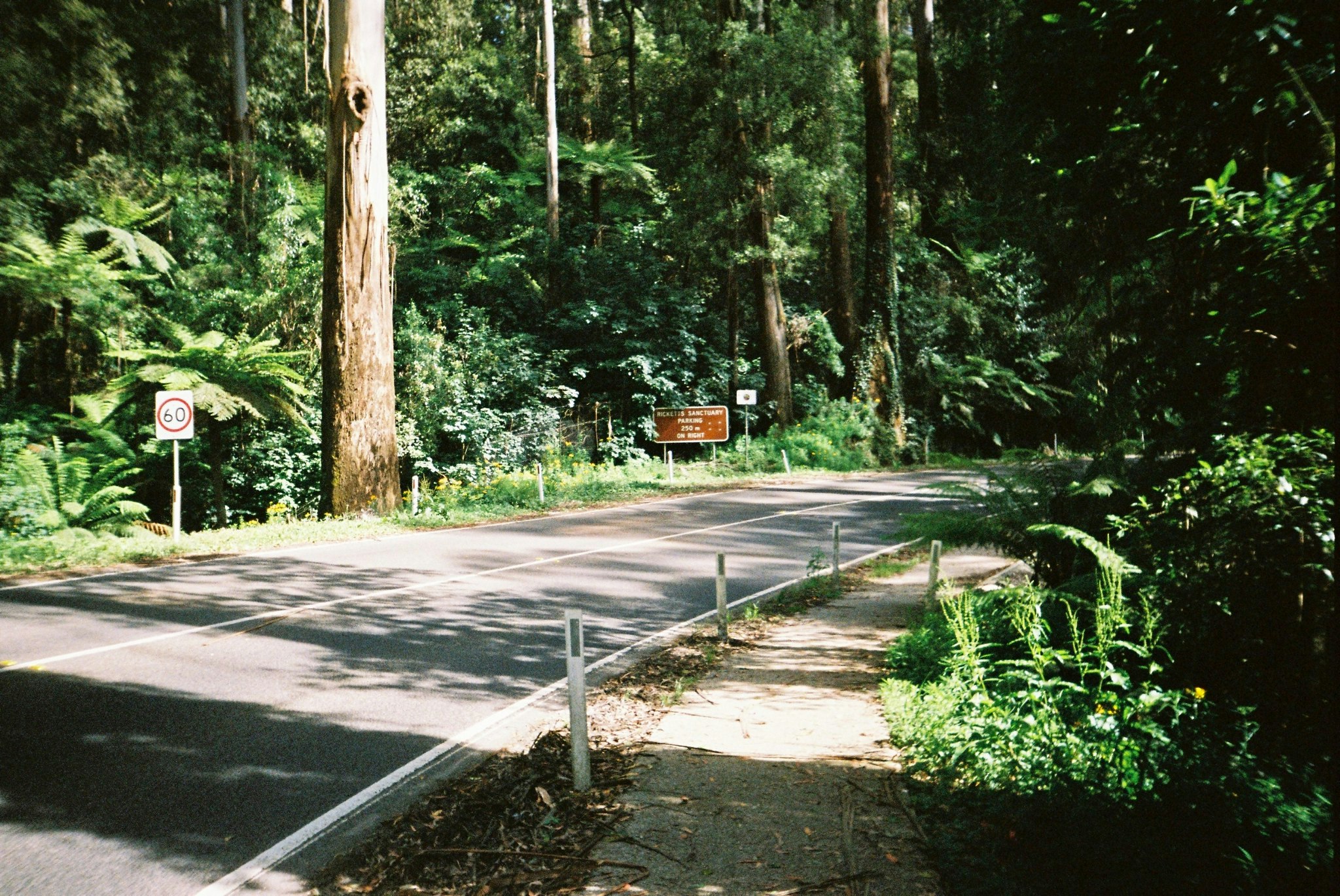 Dandenong ranges running trail Dandenong ranges running trail