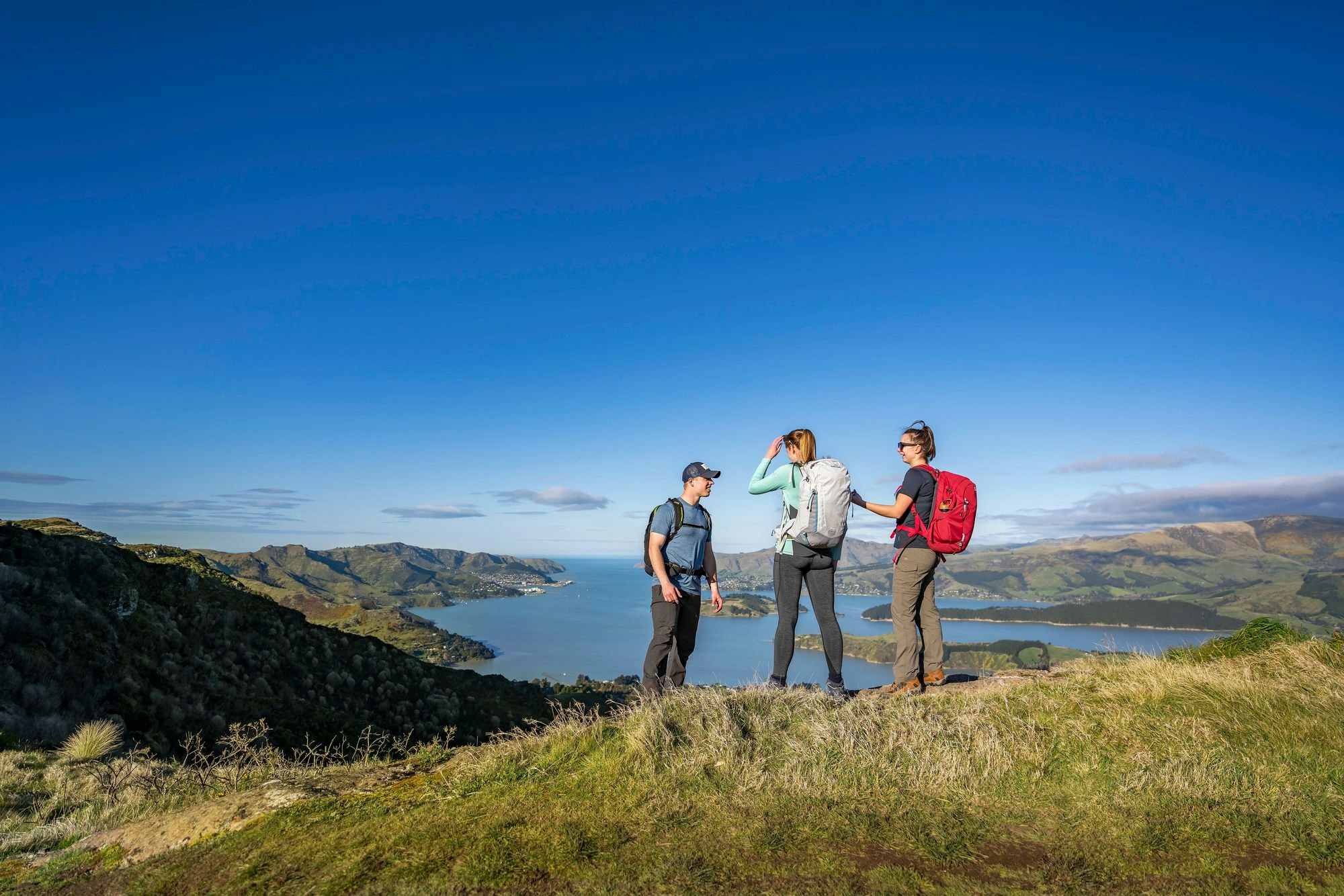 Three people hiking in Banks Peninsula