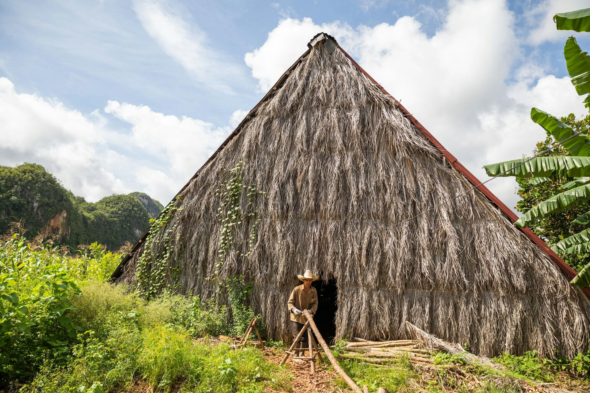 Man standing infront of traditional Cuban hut