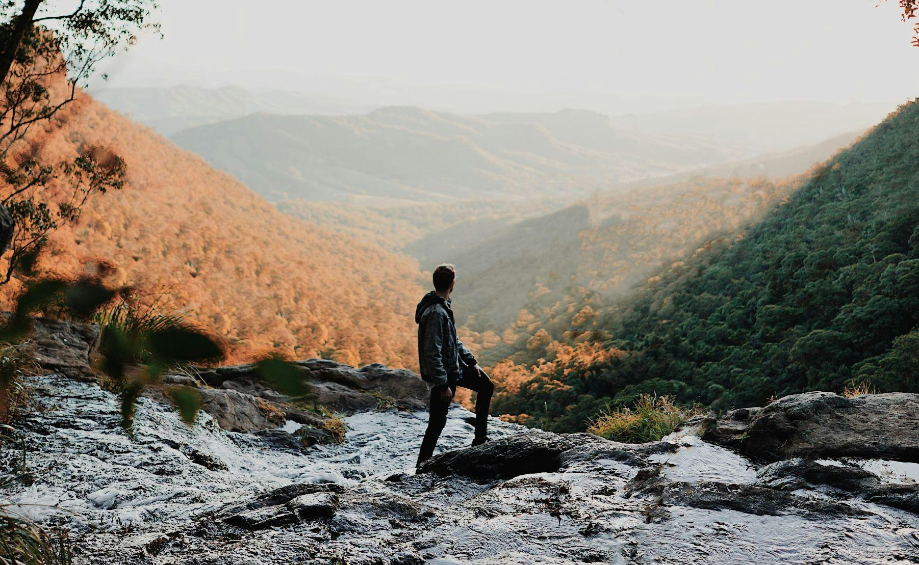 Hikes in Queensland: Box Forest Circuit