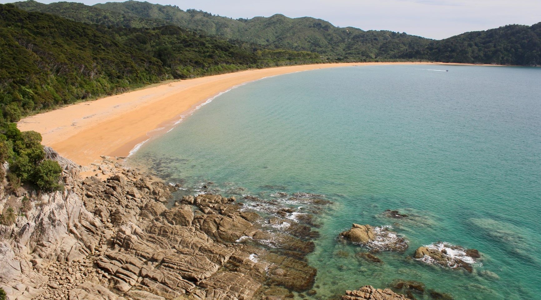 Beach at New Zealand Great Walk Abel Tasman Coast Track
