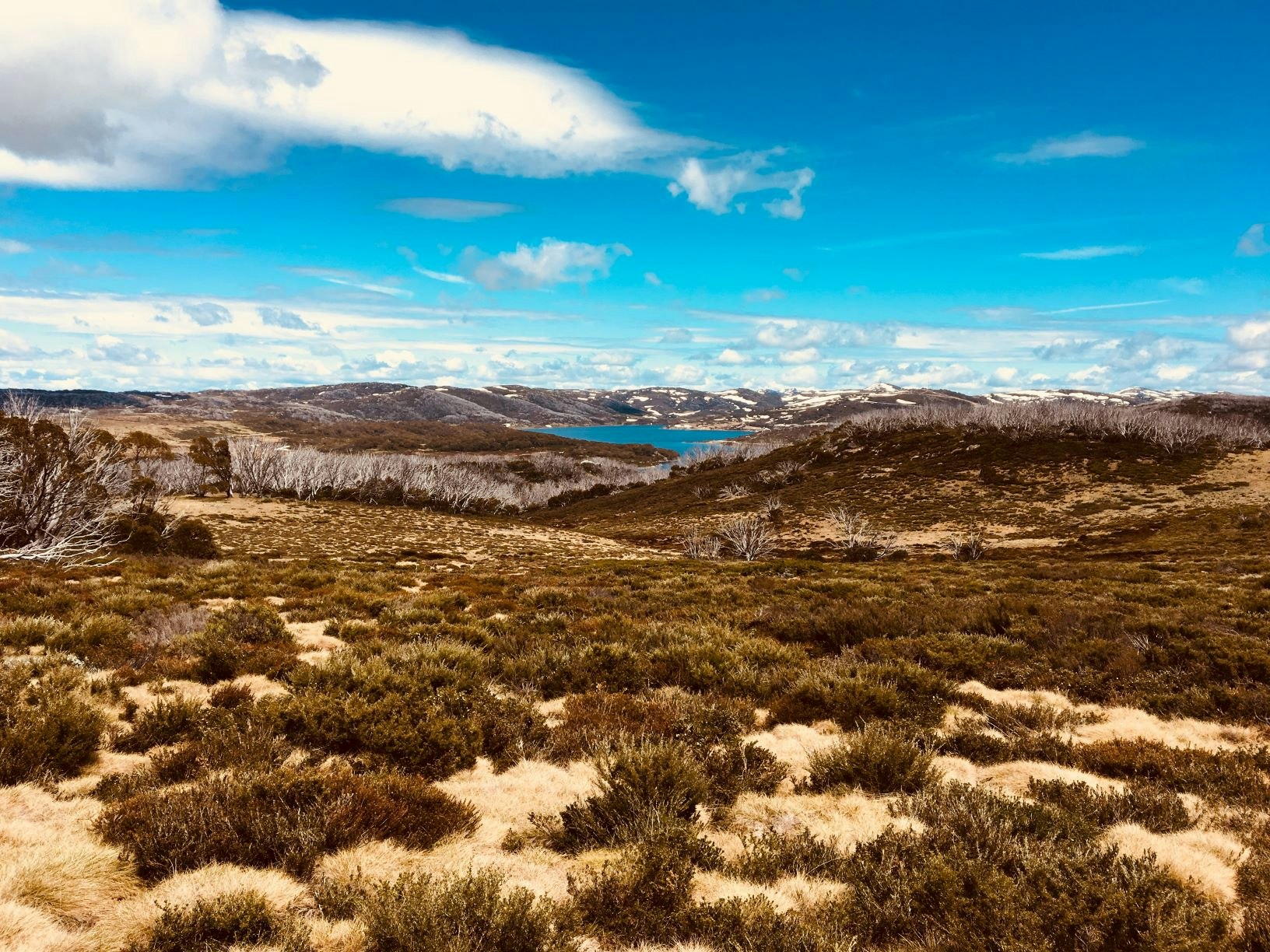 The hike out of Falls Creek is relatively flat Edmondson Hut Track in the Australian Alps