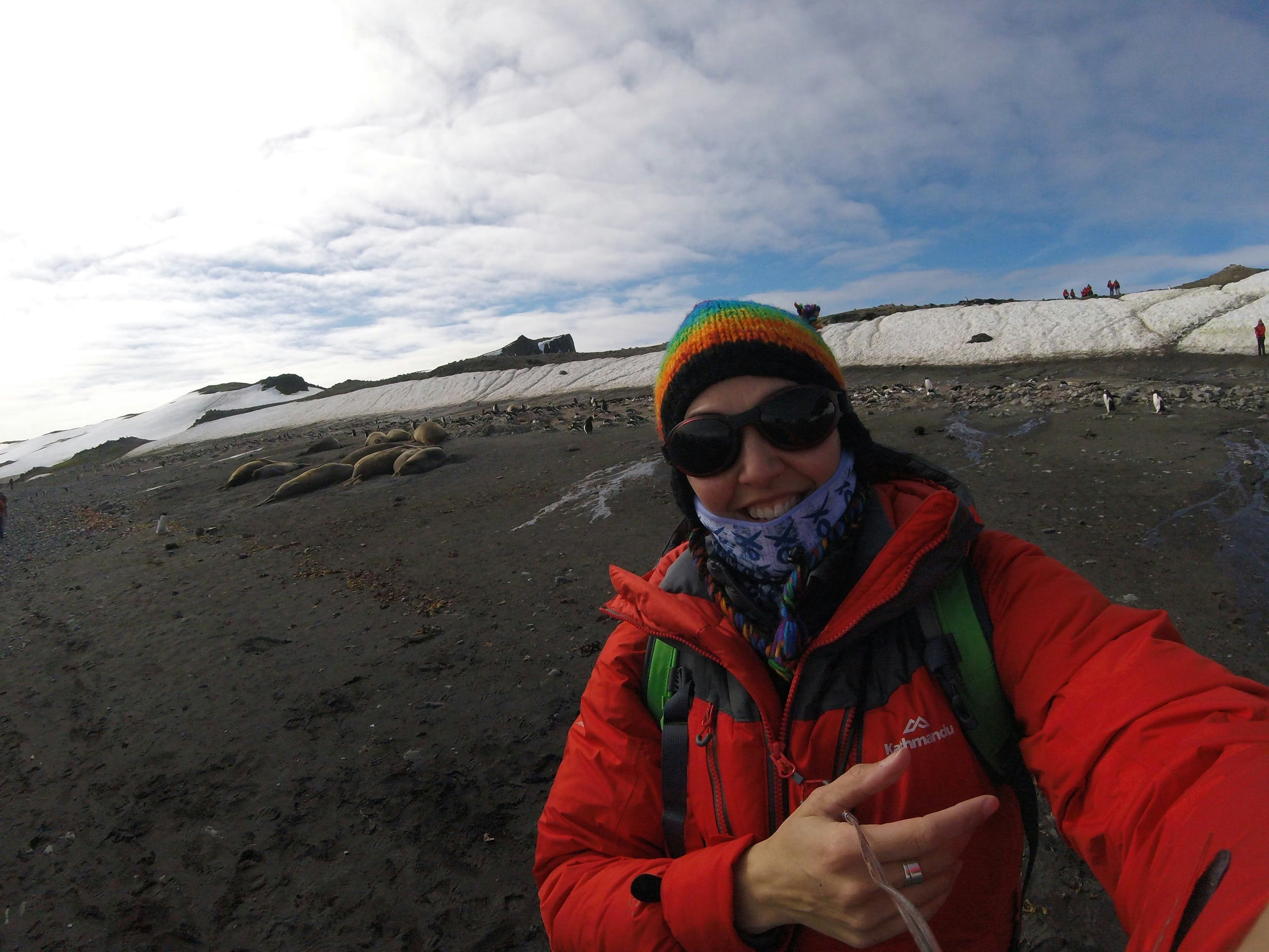 Briony Ankor takes a selfie with some elephant seals Briony Ankor takes a selfie with some elephant seals