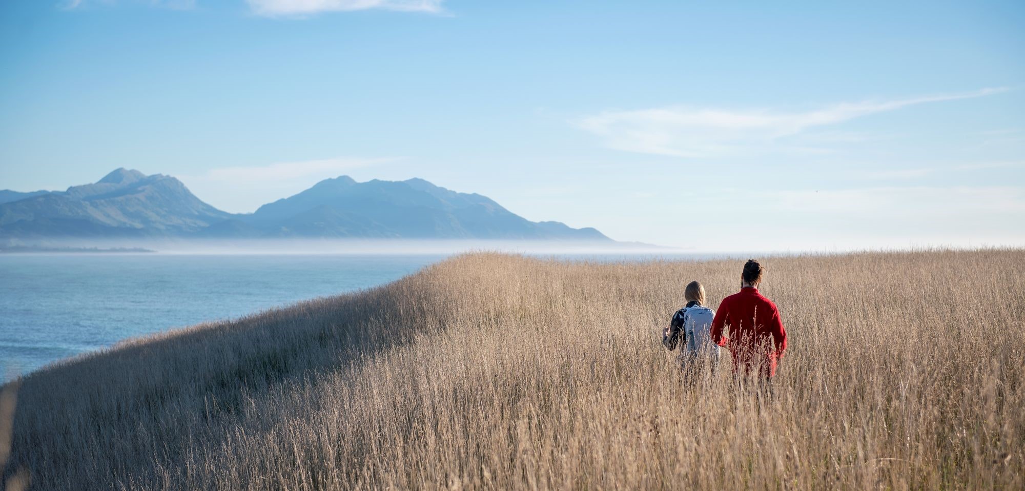 Two people walking in a field in Kaikura