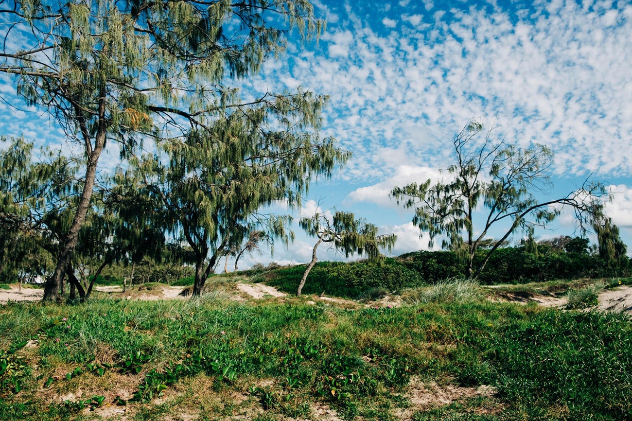 Hikes in Queensland: Cooloola Great Walk