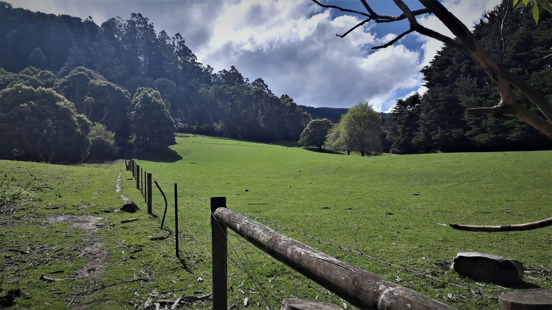 Paddock at the start of Mt Donna Buang trail