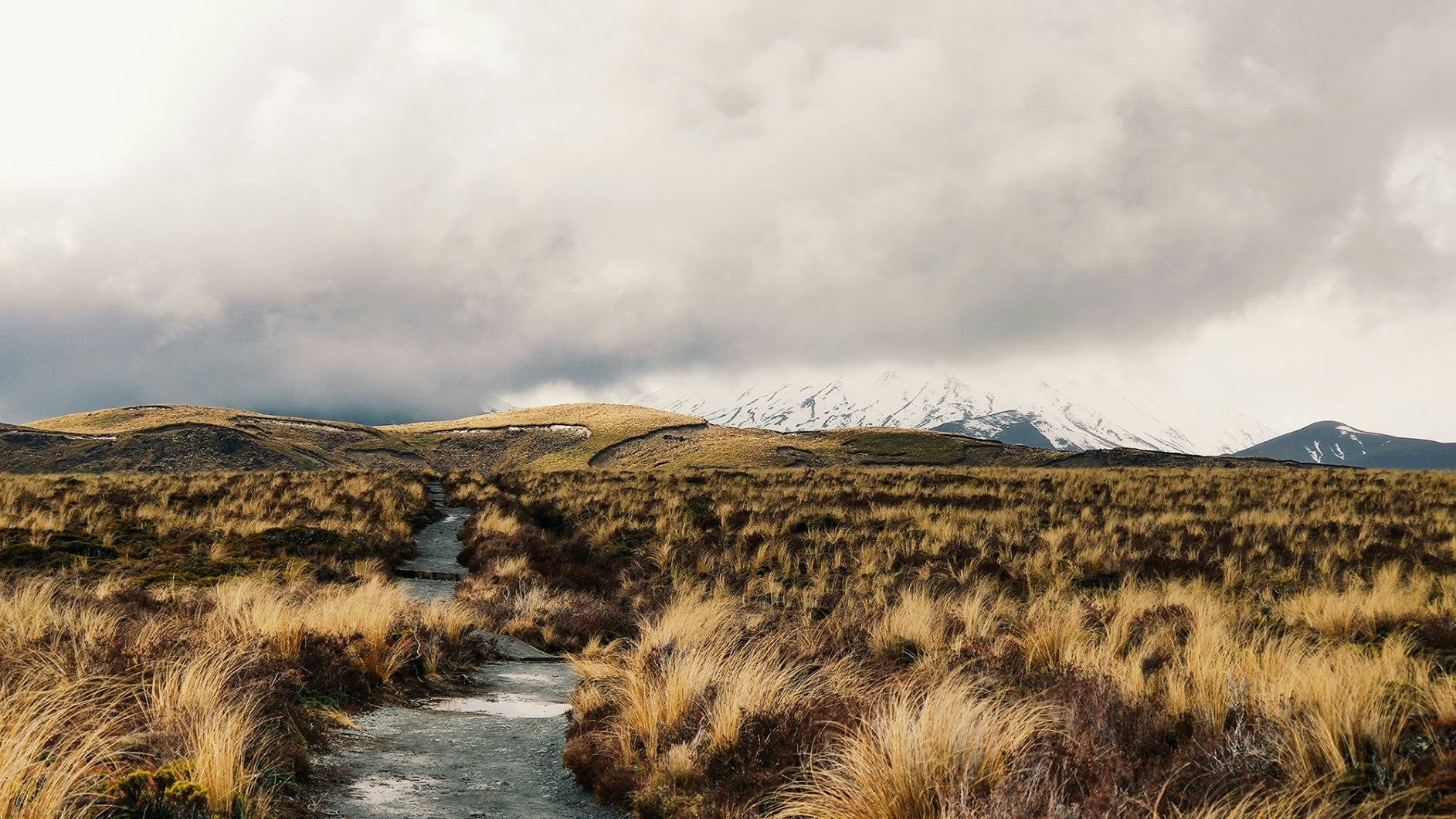 Open fields on New Zealand Great Walk Tongariro Alpine Crossing