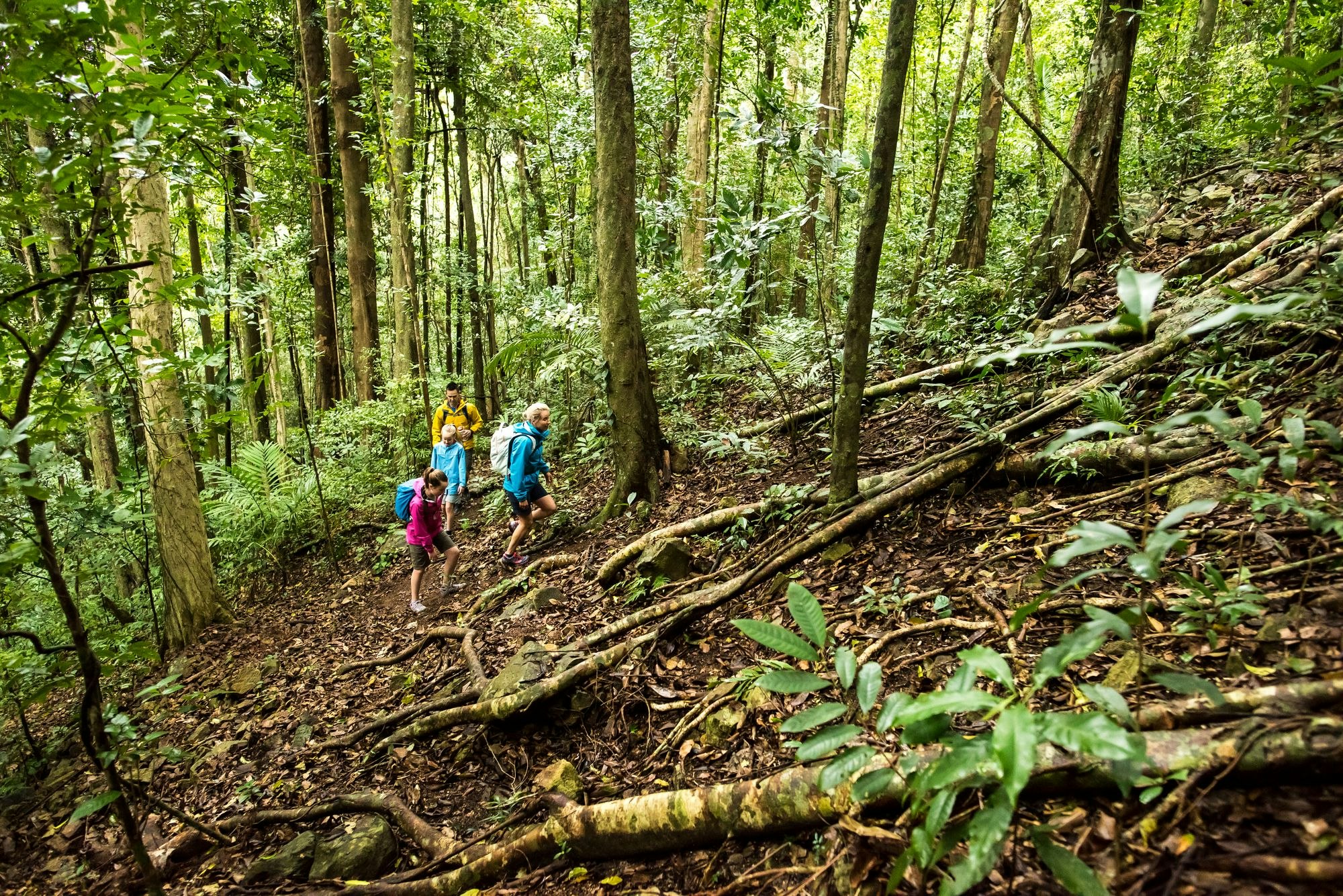 Best Hikes in Queensland