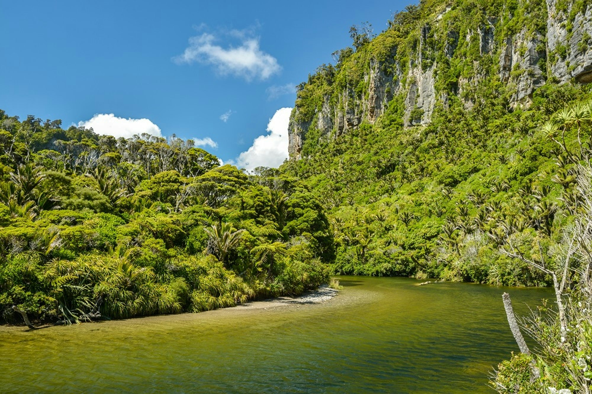 Paparoa Track Great Walk of New Zealand