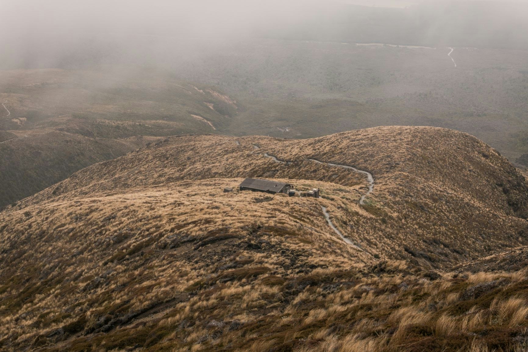 Take a trip straight to Scotland by navigating the Tongariro National Park Heathland on Tongariro National Park