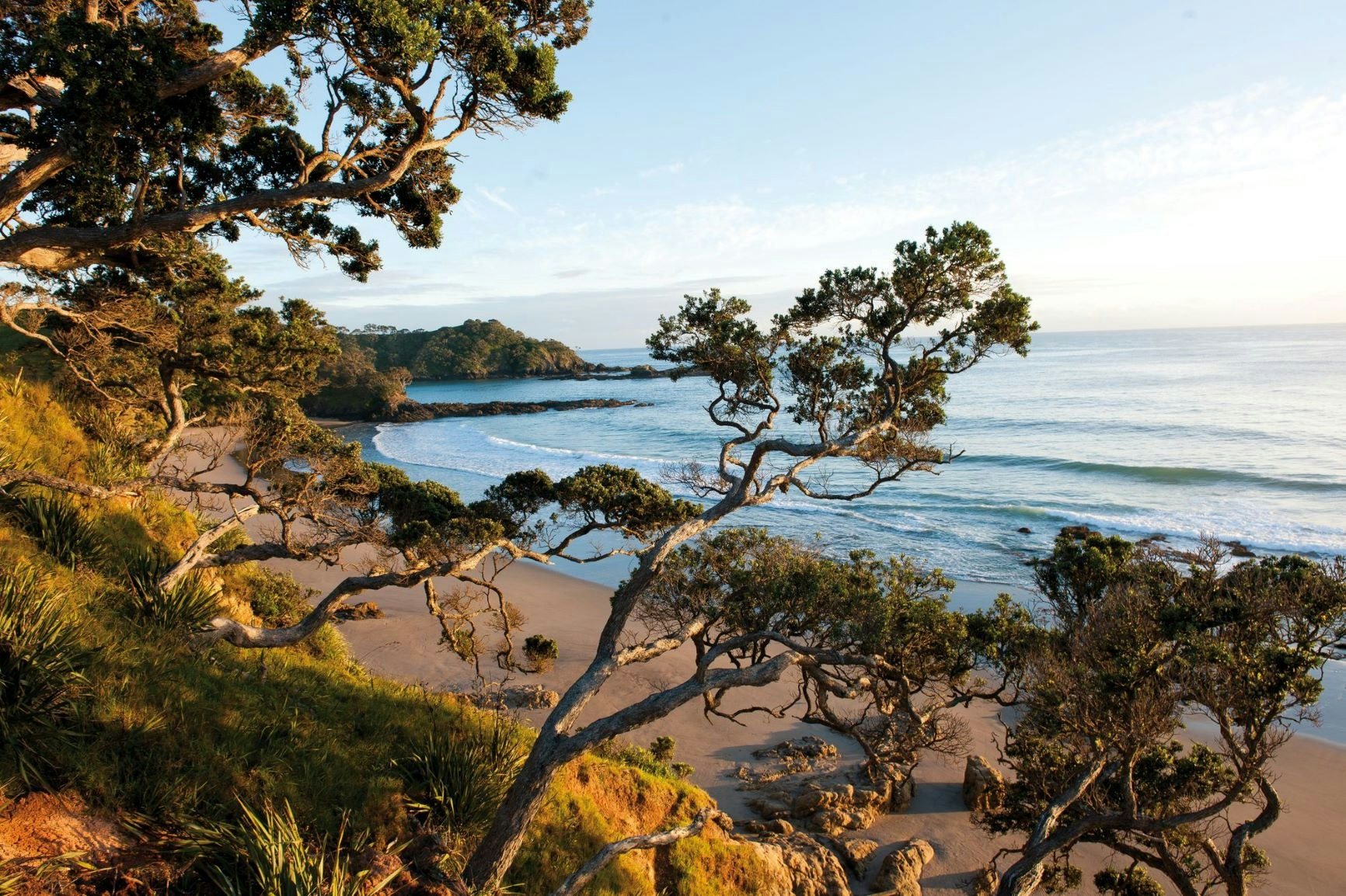 A beach in Coramandel