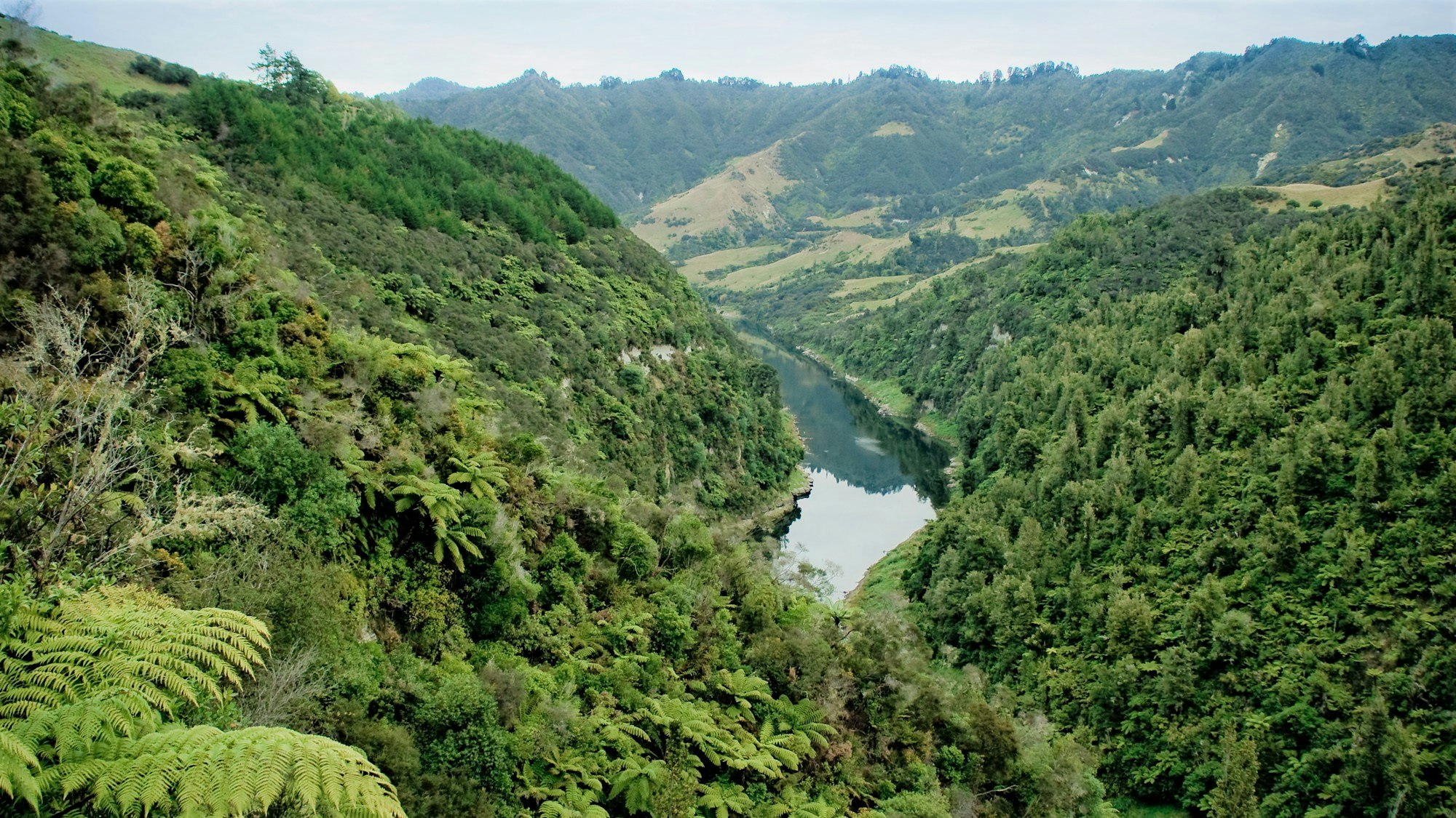 Whanganui River
