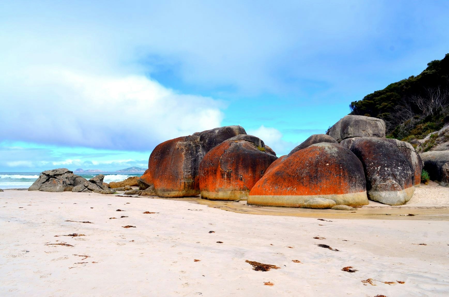 Colourful rocks at WIlsons Promontory