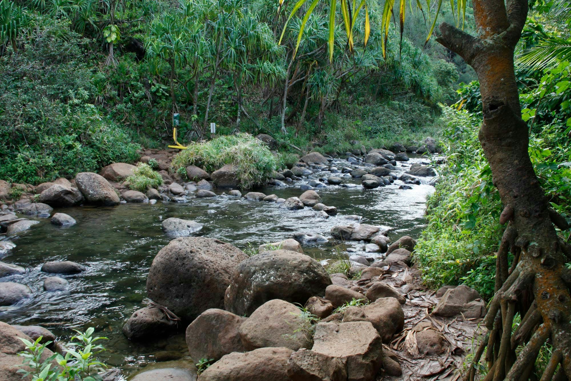 Your first major river crossing Your first major river crossing