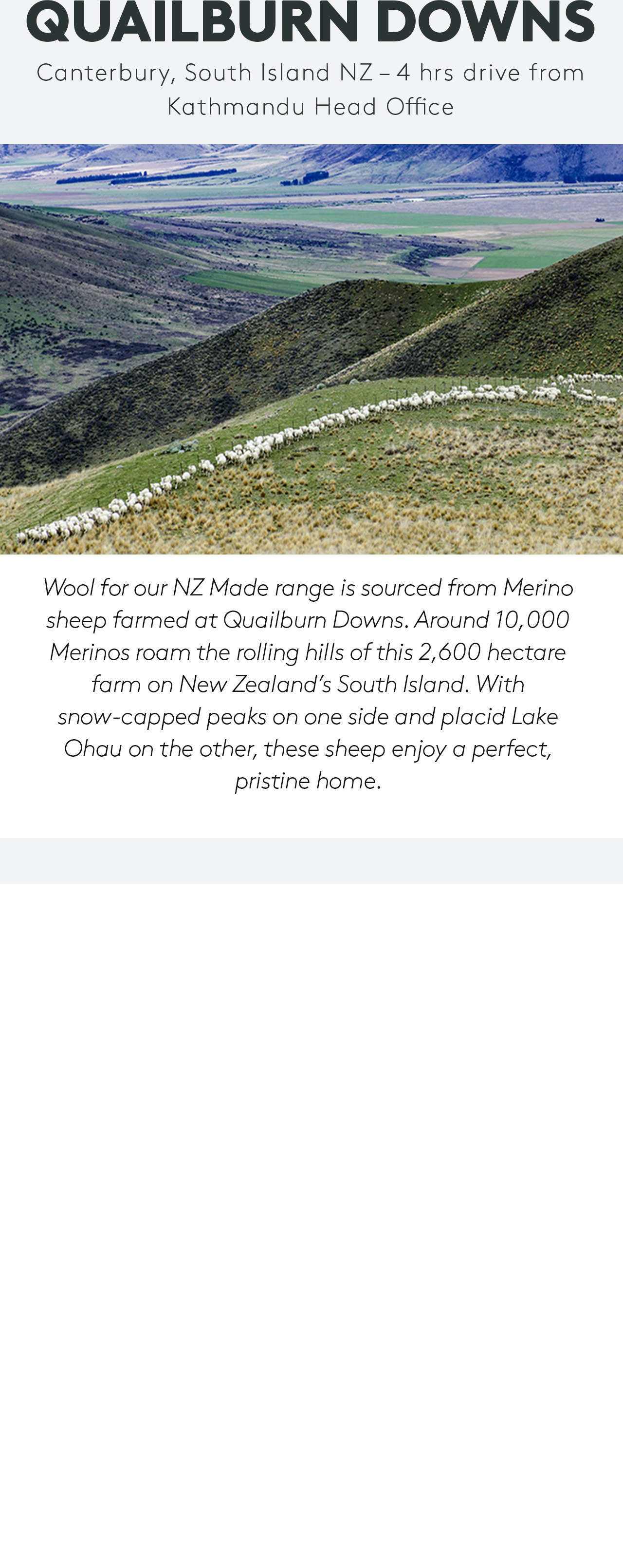 Nz made