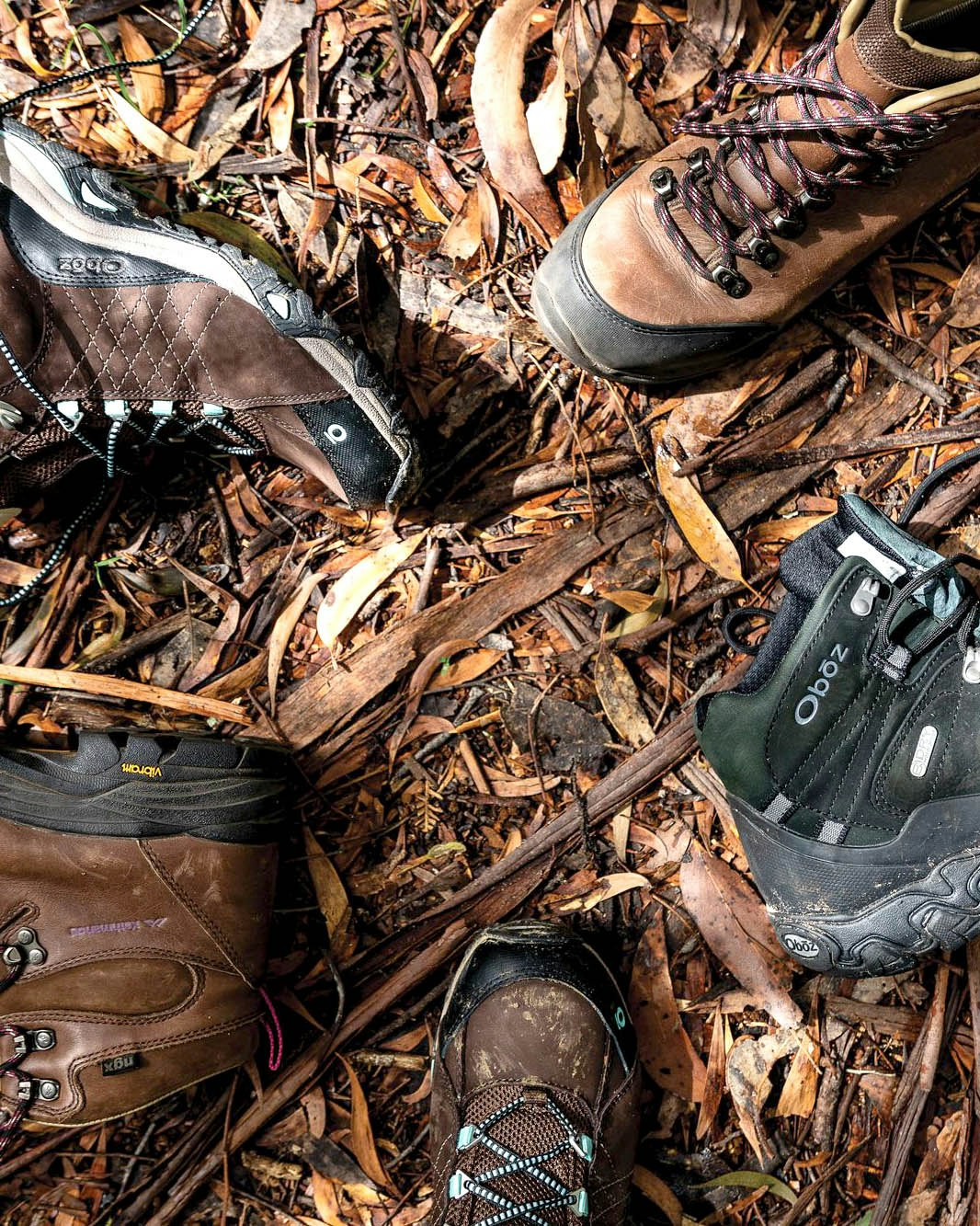 The best hiking hot sale shoes 219