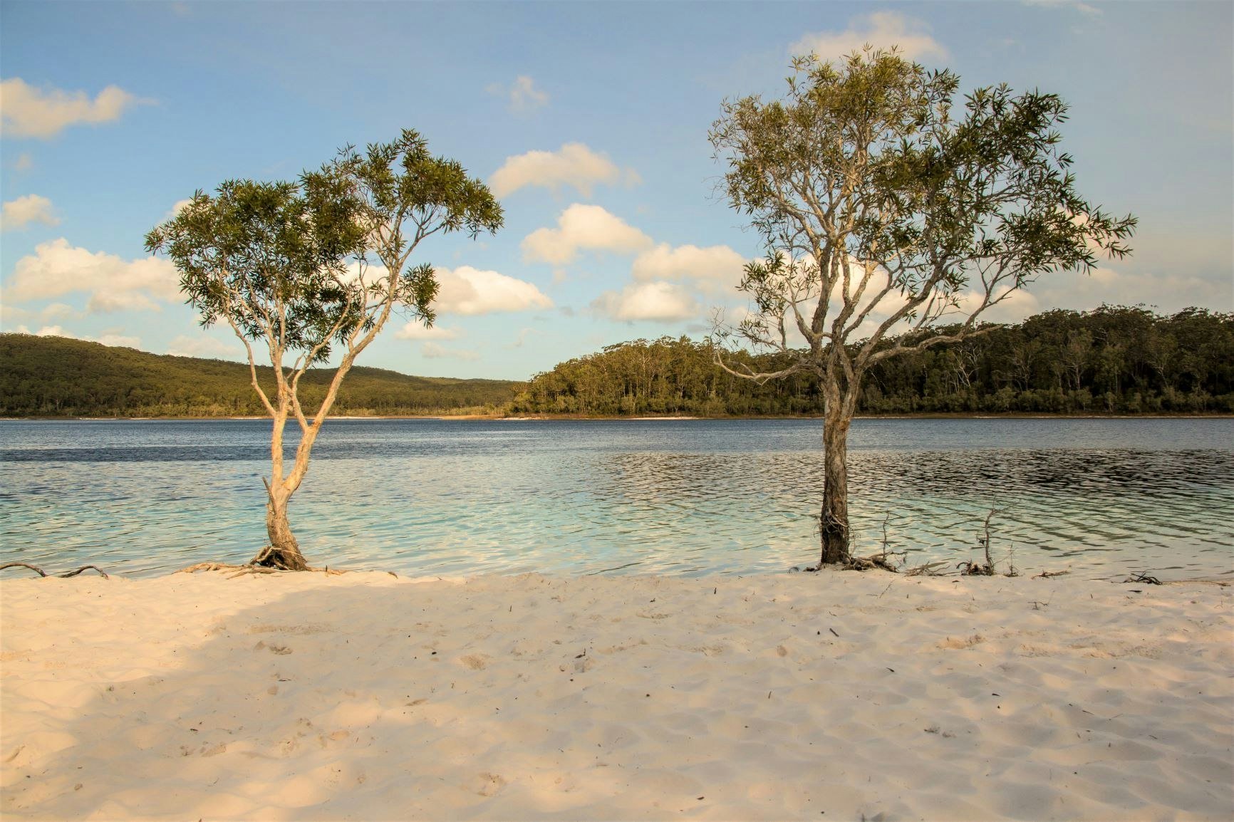 Lake McKenzie on Fraser Island